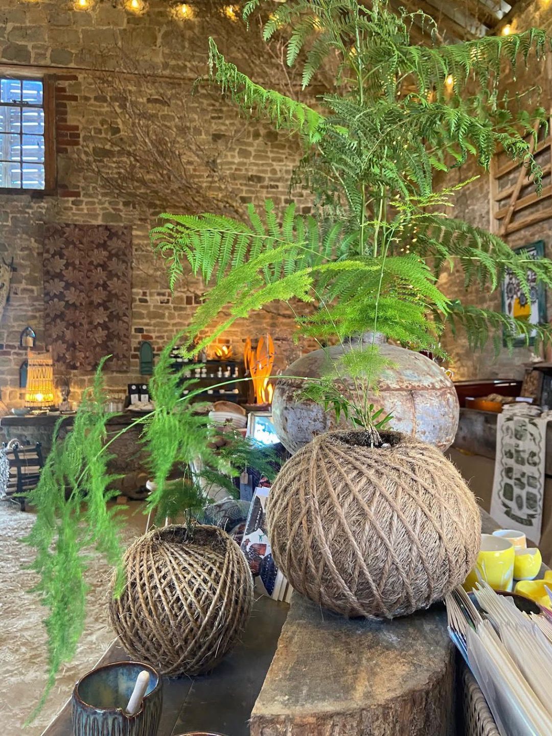 Kokedama Ball Workshop