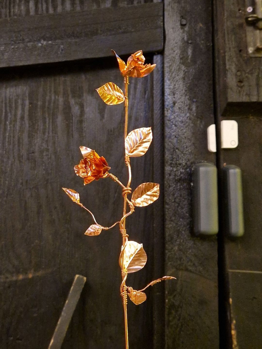 Copper Botanicals Workshop