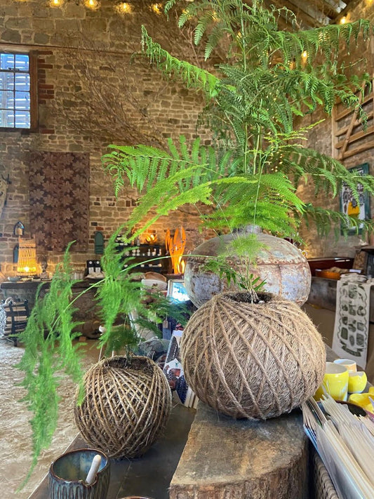 Kokedama Ball Workshop