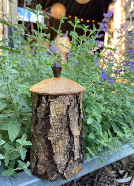 Birch shrink pot with lid