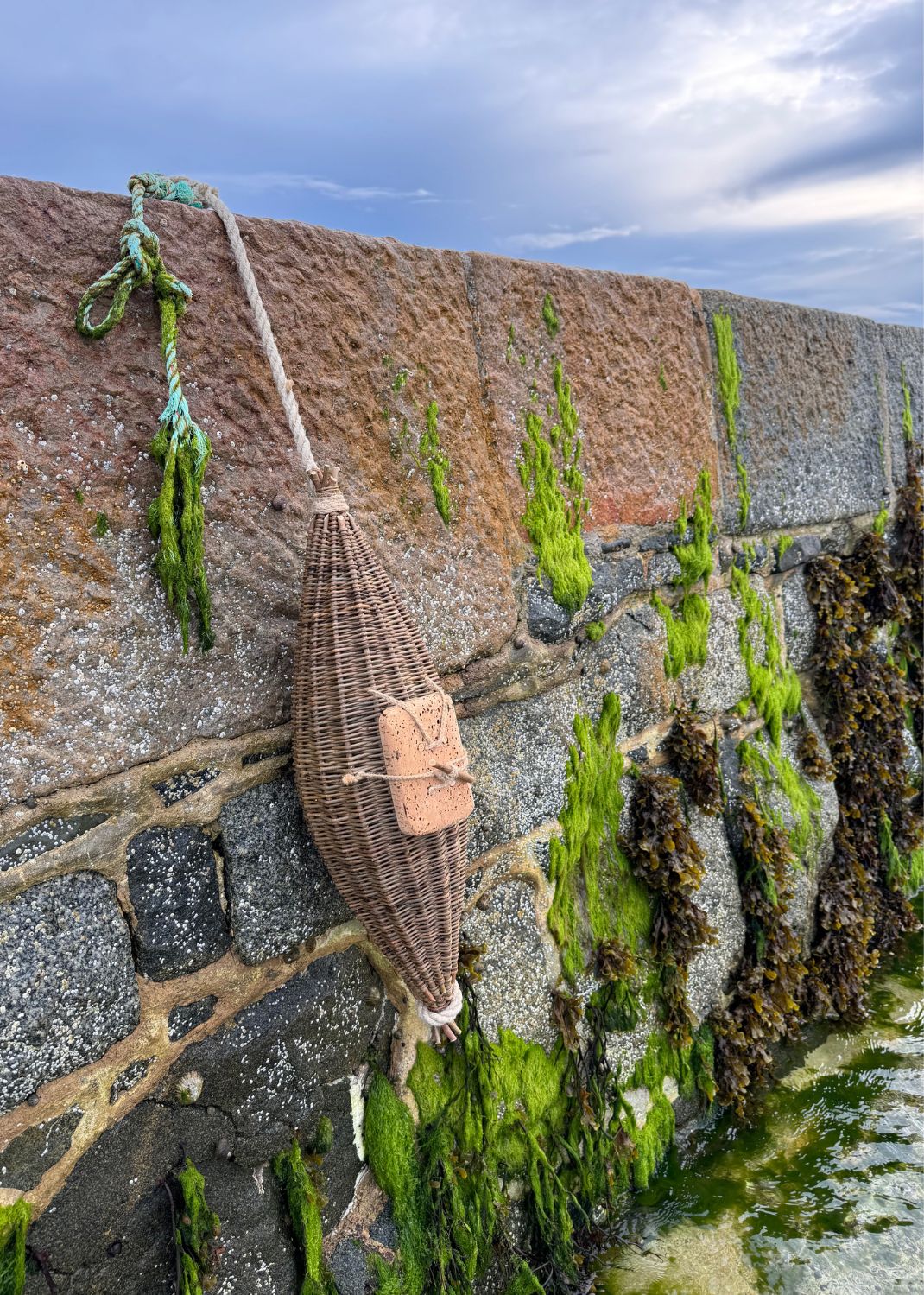 Guernsey Courge Workshop