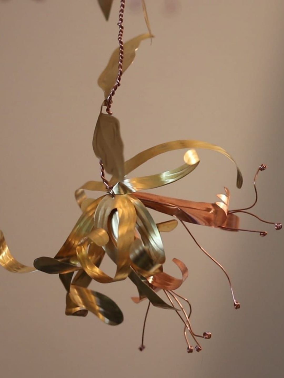 Copper Botanicals Workshop