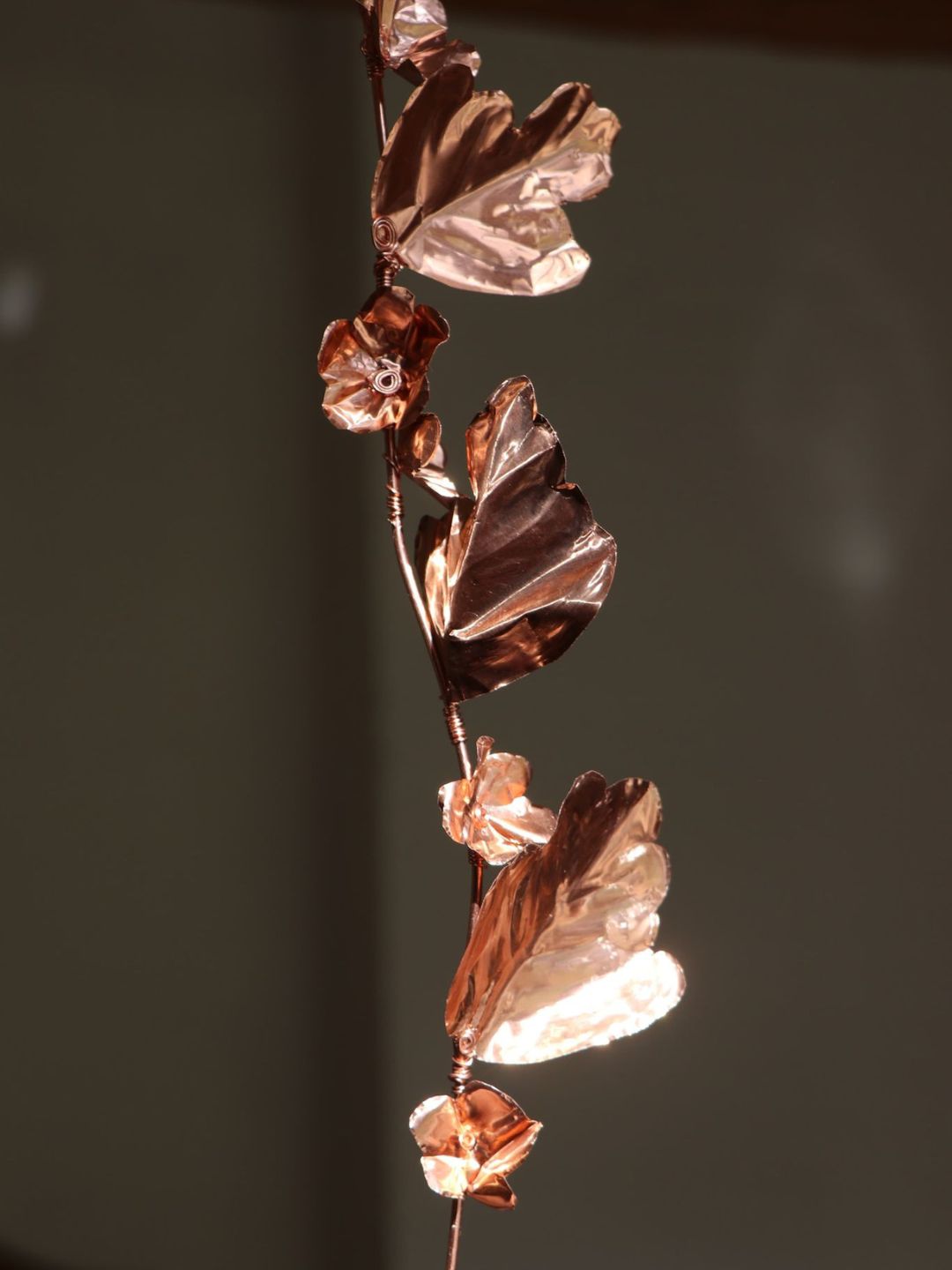 Copper Botanicals Workshop