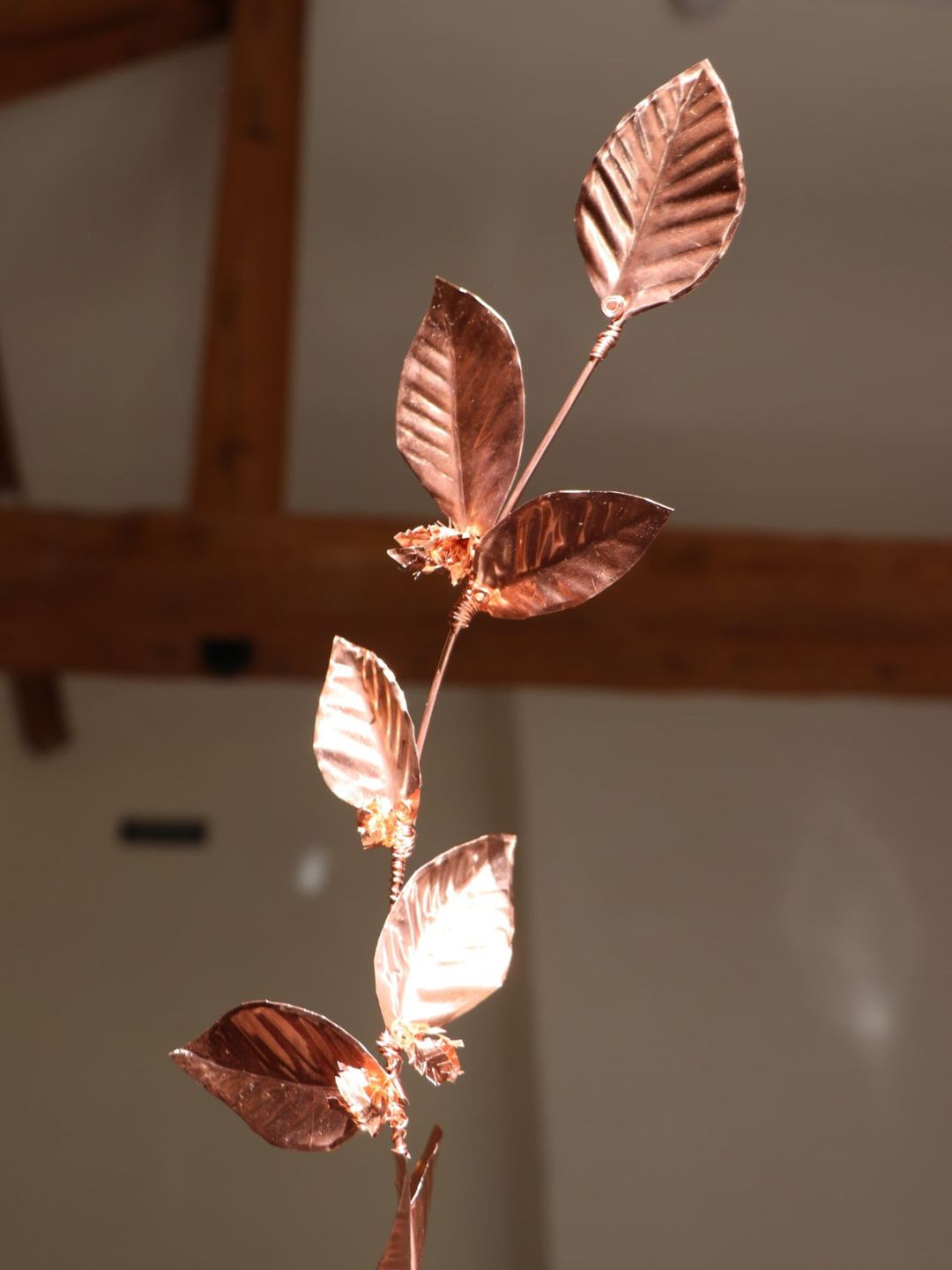 Copper Botanicals Workshop