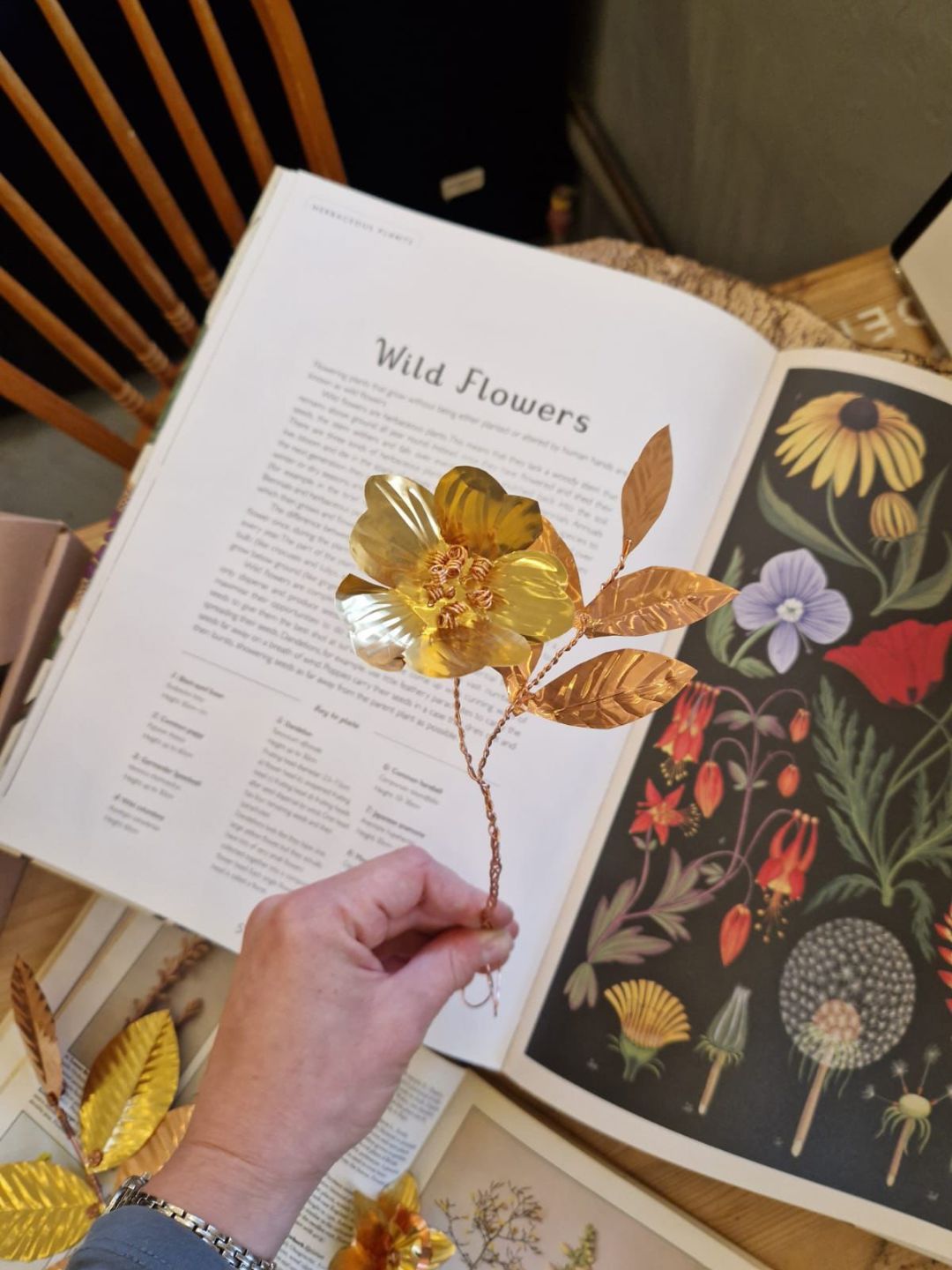 Copper Botanicals Workshop