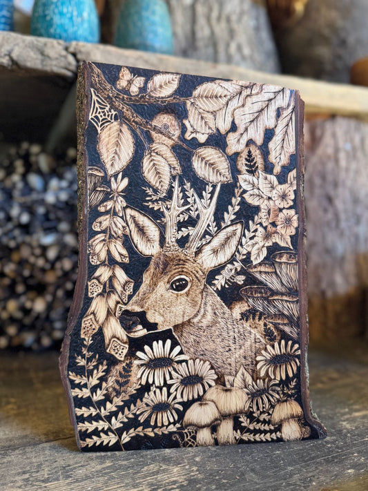 Deer & Wildlife Picture