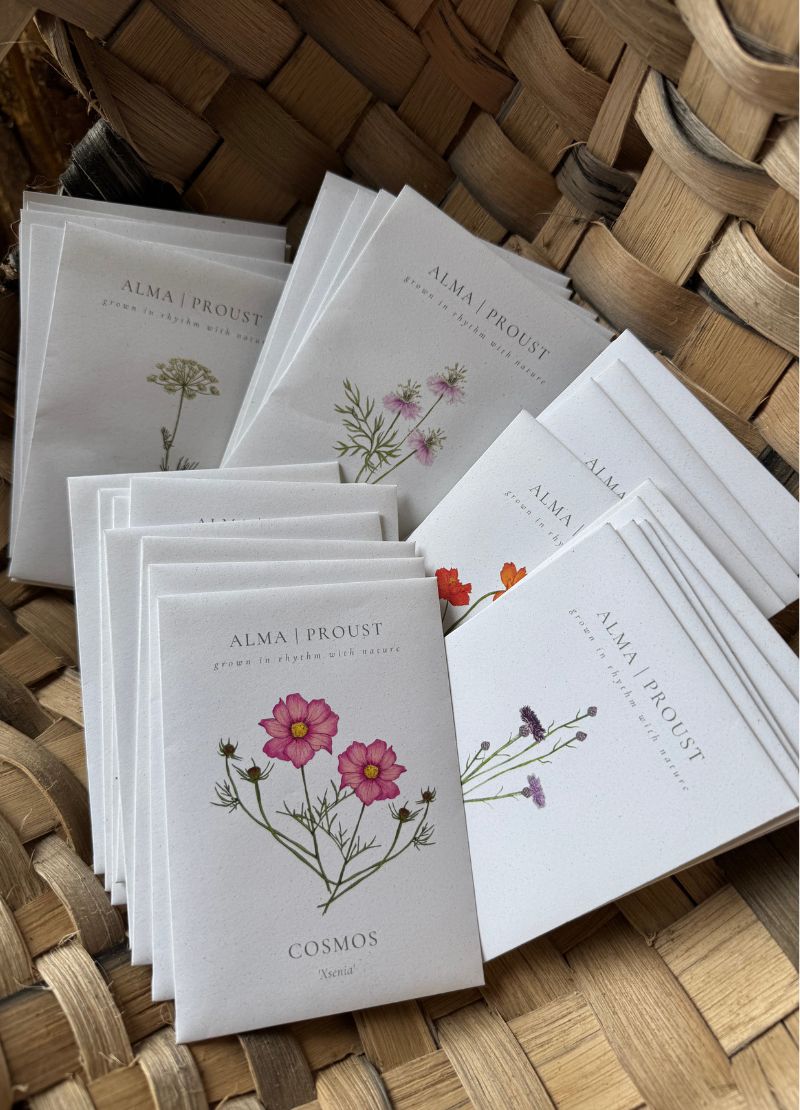 Stack of 'Alma Proust' seed packs with floral designs on a woven surface