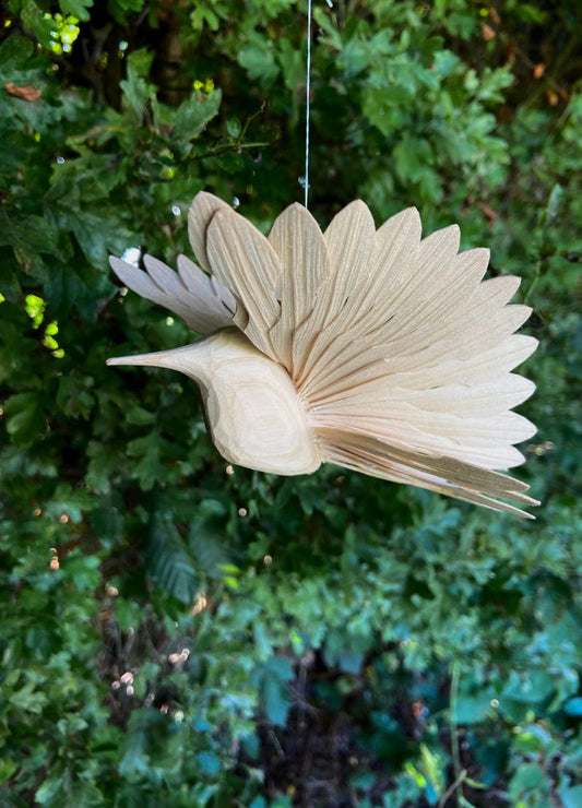 Fan Bird