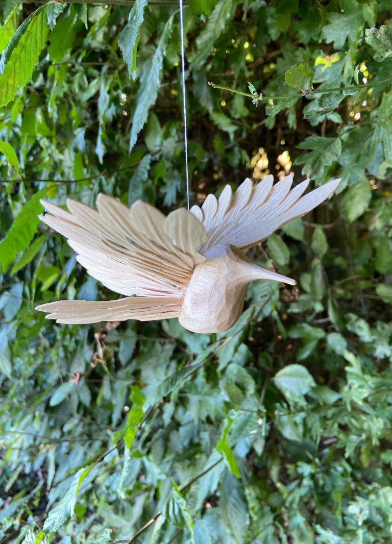 Fan Bird