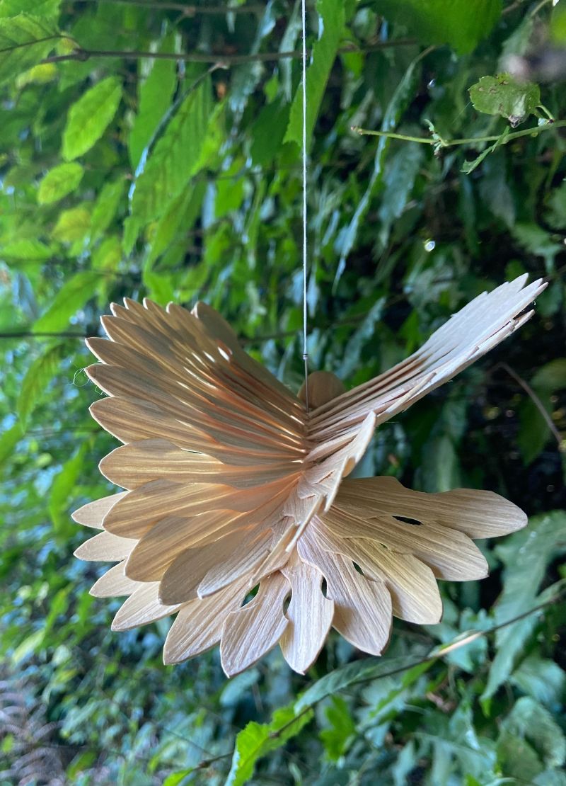 Fan Bird