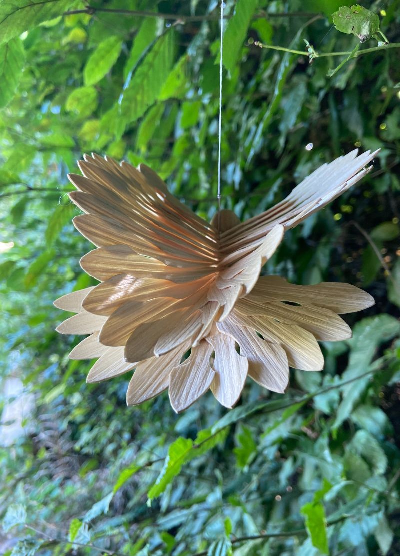 Fan Bird