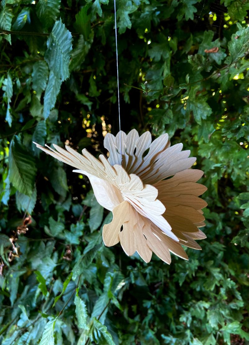Fan Bird
