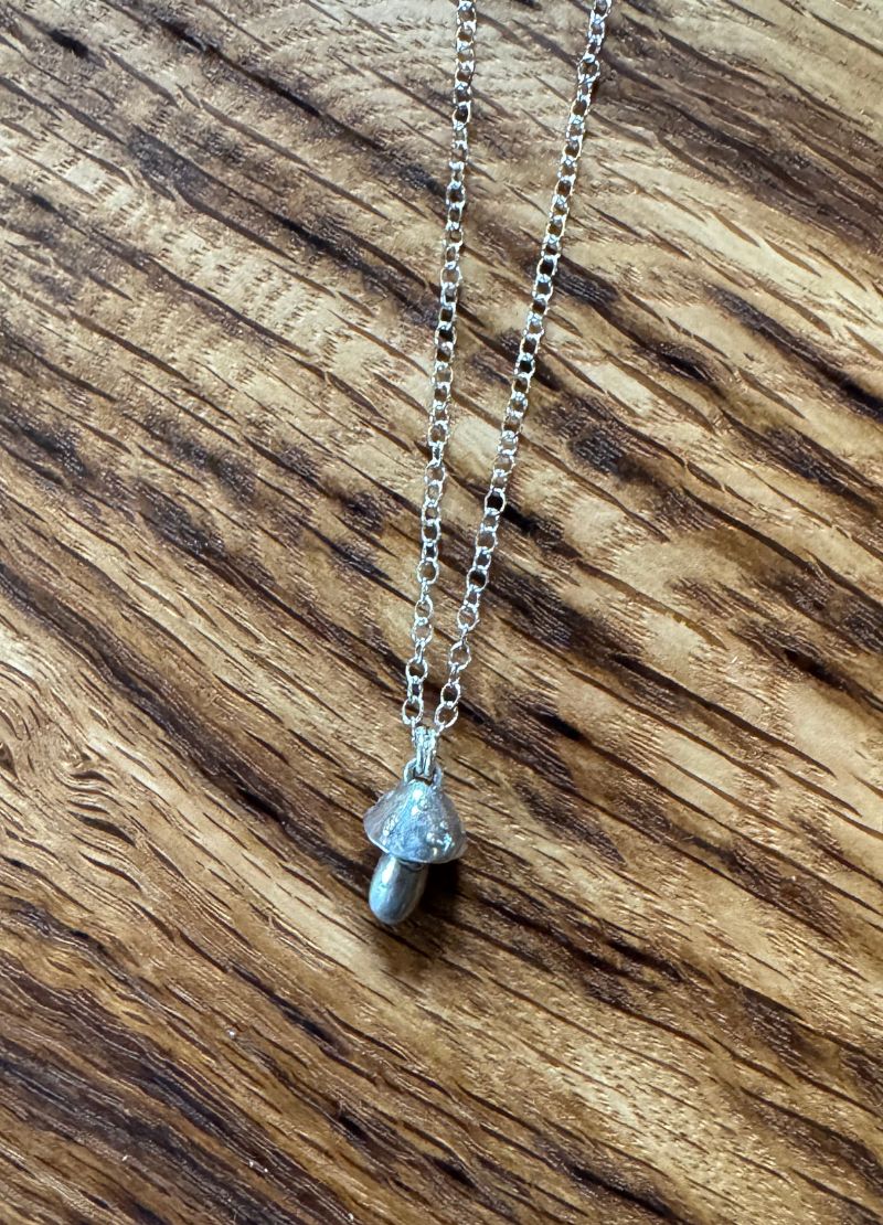 Silver necklace with a small pendant on a wooden surface