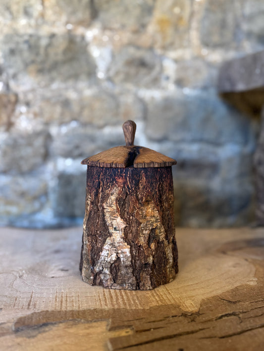 Silver birch shrink pot with lid
