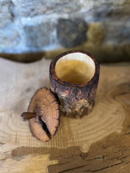 Silver birch shrink pot with lid