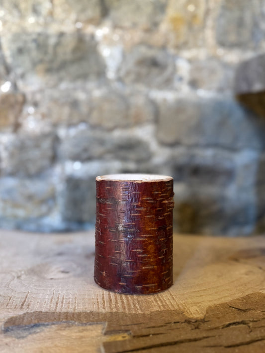 Silver birch shrink pot