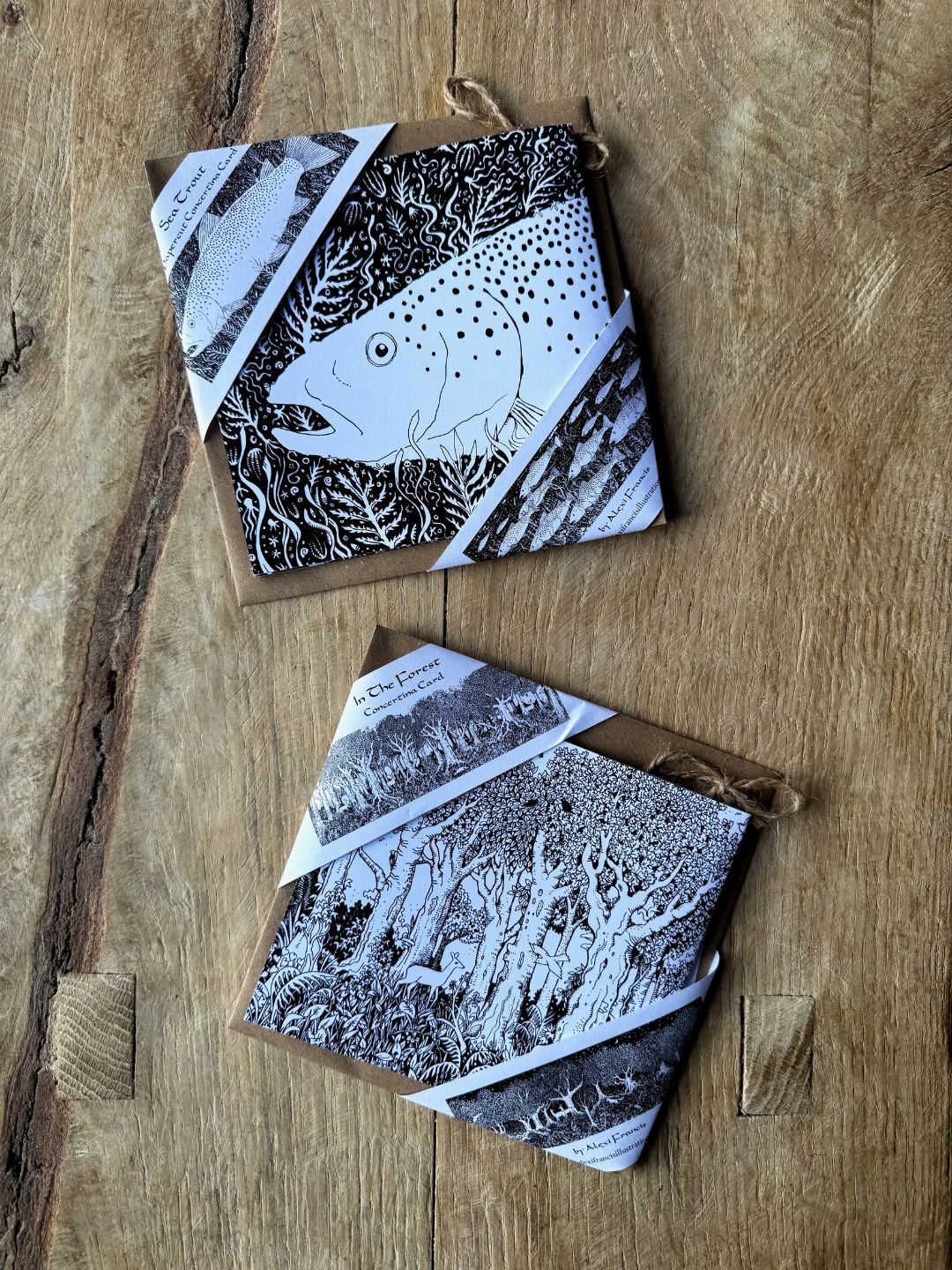 Illustrated Concertina Greetings Cards - set of 2