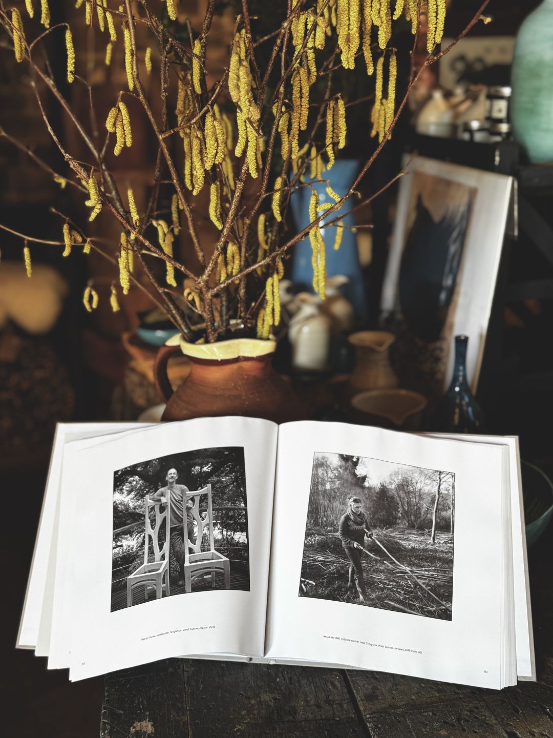 South Downs: Portraits in a Landscape